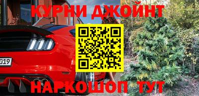 индика Будённовск