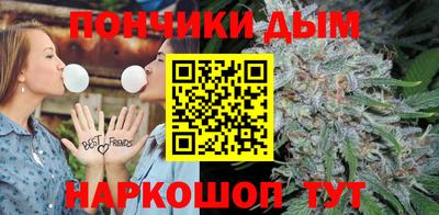 индика Будённовск